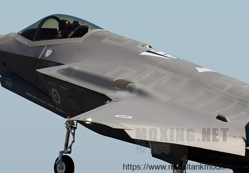 [坦克模型对比评测]MENG(LS007) VS 小鹰(80103)-1/48 F-35A