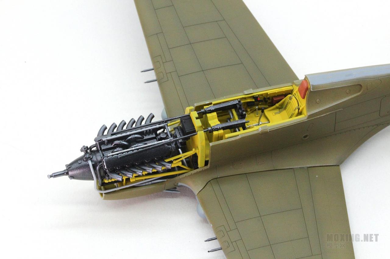 [模型网评测]威骏-1/48 P-40C