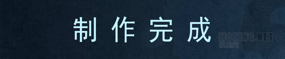 [模型网评测]威骏-1/48 P-40C